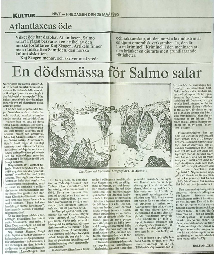 Svensk omtale av Samtiden-artikkelen Rekviem for Salmo salar. NWT 25. mai 1990.